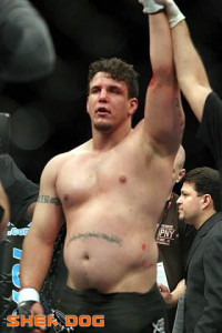 Fat Frank Mir