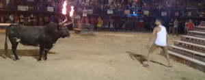 Man vs. Flaming Bull