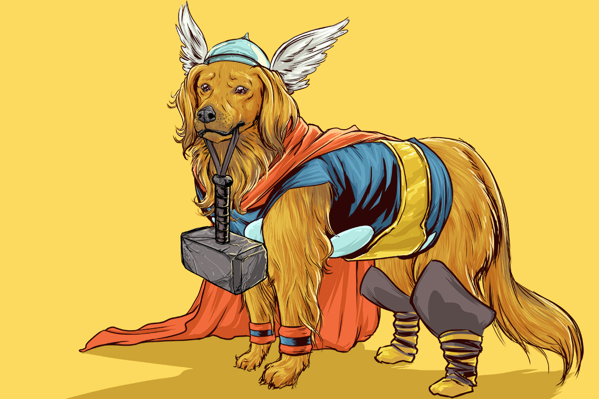 thor dog