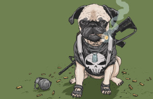 punish pug