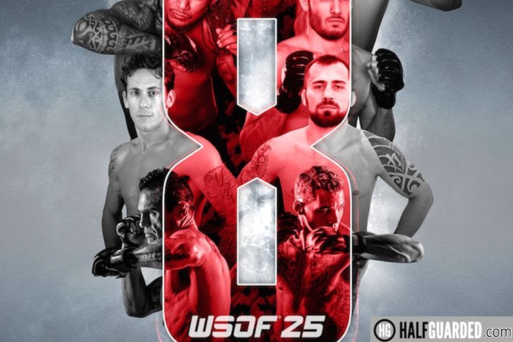 WSOF 25