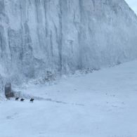 I will build a wall, the Wildlings will pay for it!
