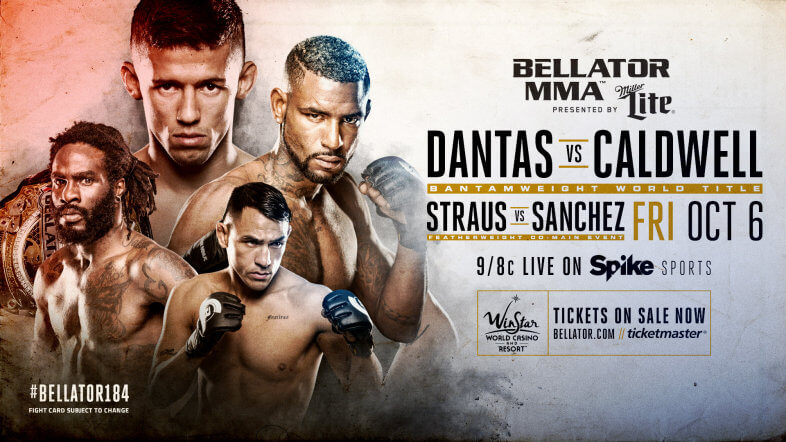 bellator 184