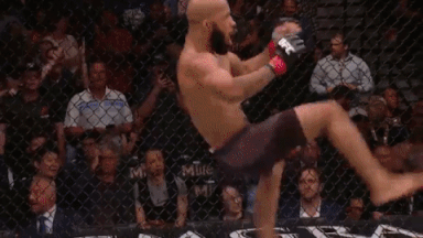 demetrious johnson mighty mouse wins gif