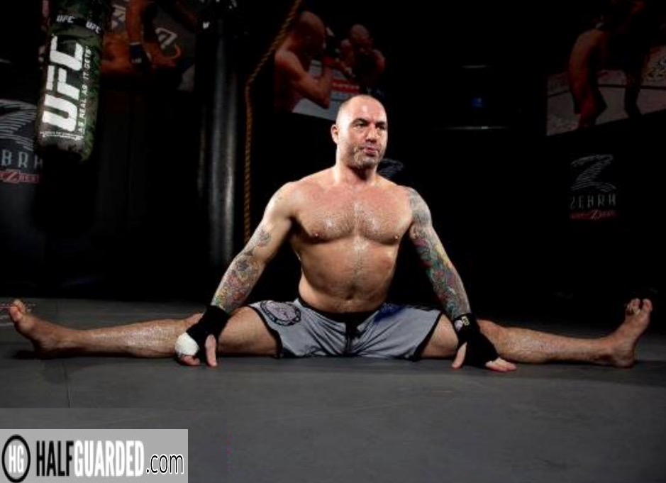 Joe rogan bjj