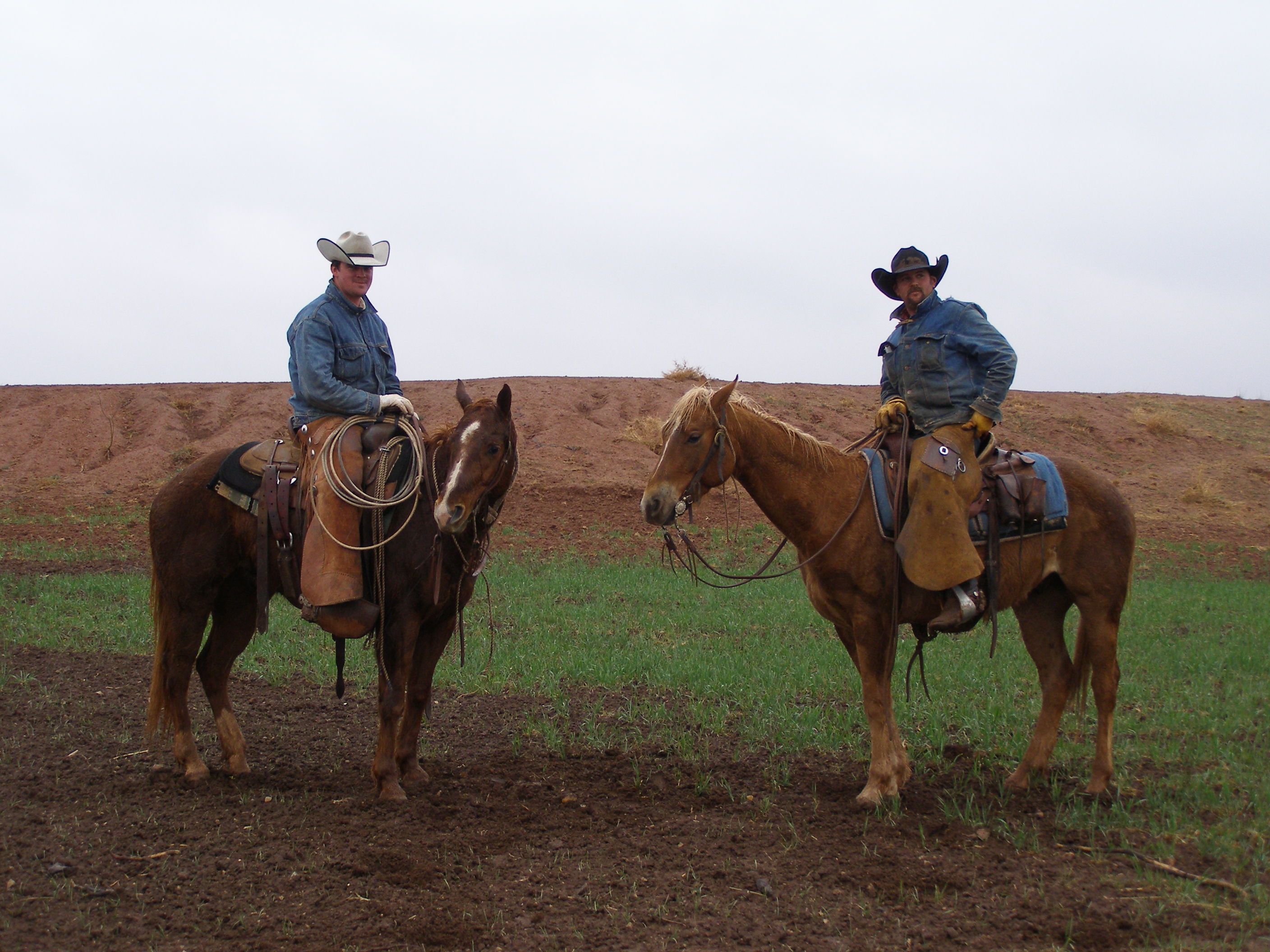 Cowboys