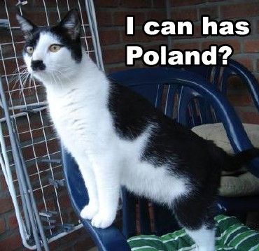 Hitler cat