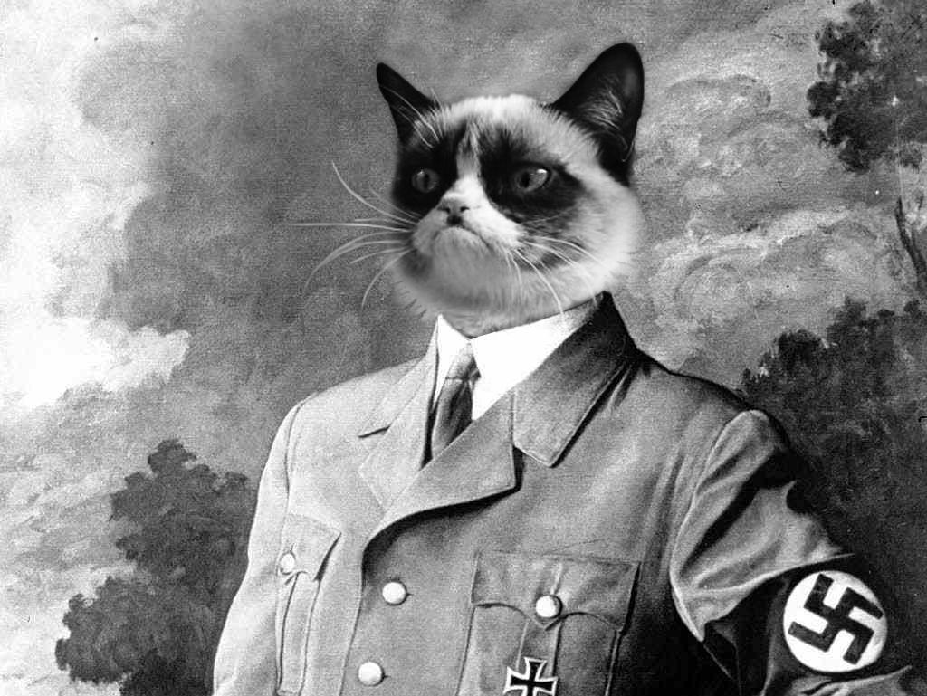 Hitler cat