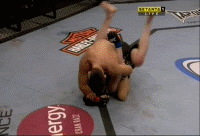 maia gif tapout