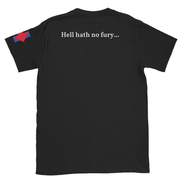 HILLARY 2020 SCARY T SHIRT AD