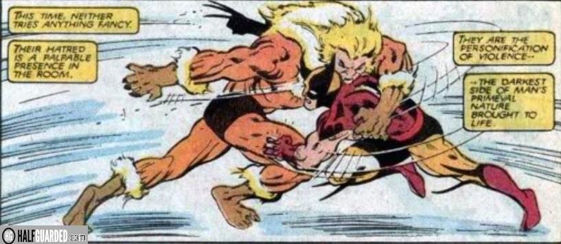 wolverine vs sabertooth - best comic book fights